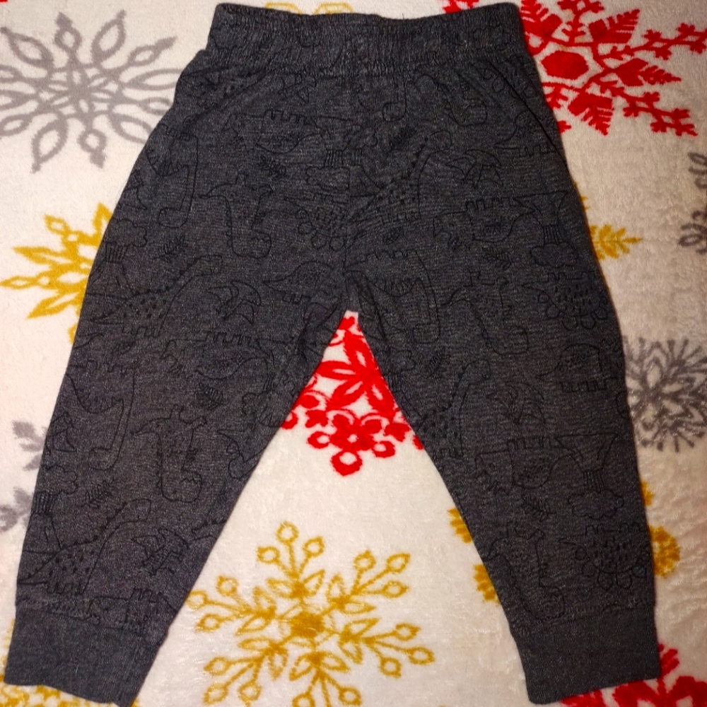 Dinosaur sweatpants 18M